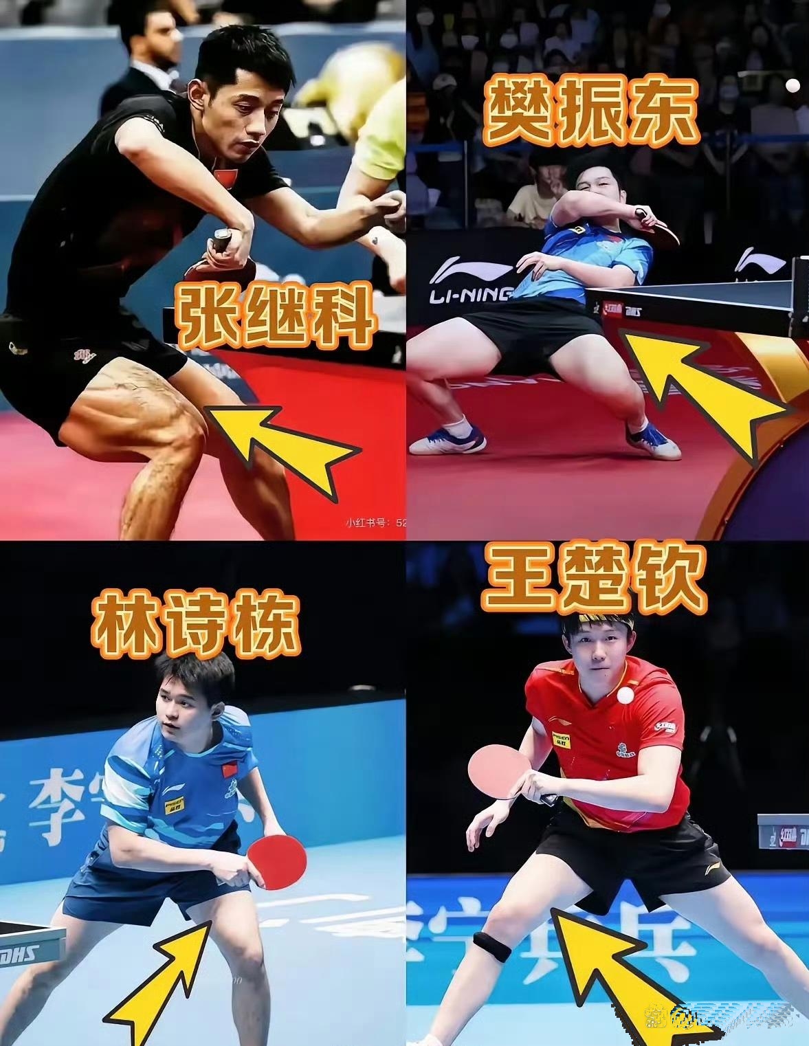 法国乒乓球队险胜德国乒乓球队,张继科完成帽子戏法的简单介绍 法国乒乓球队险胜德国乒乓球队,张继科完成帽子戏法的简单介绍