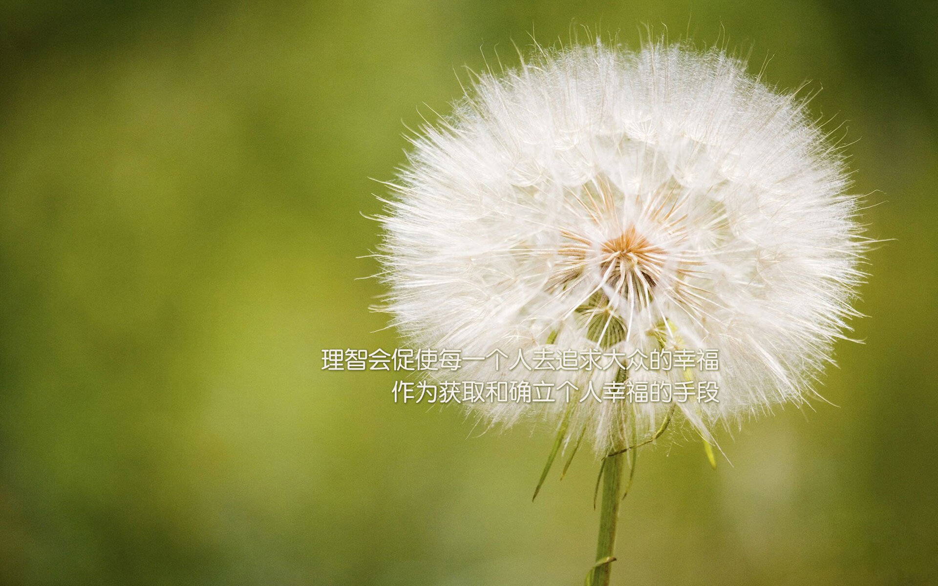 时空褶皱中的替补奇兵，平行世界里的挪威鏖战塞内加尔，阿圭罗冰原带队突围