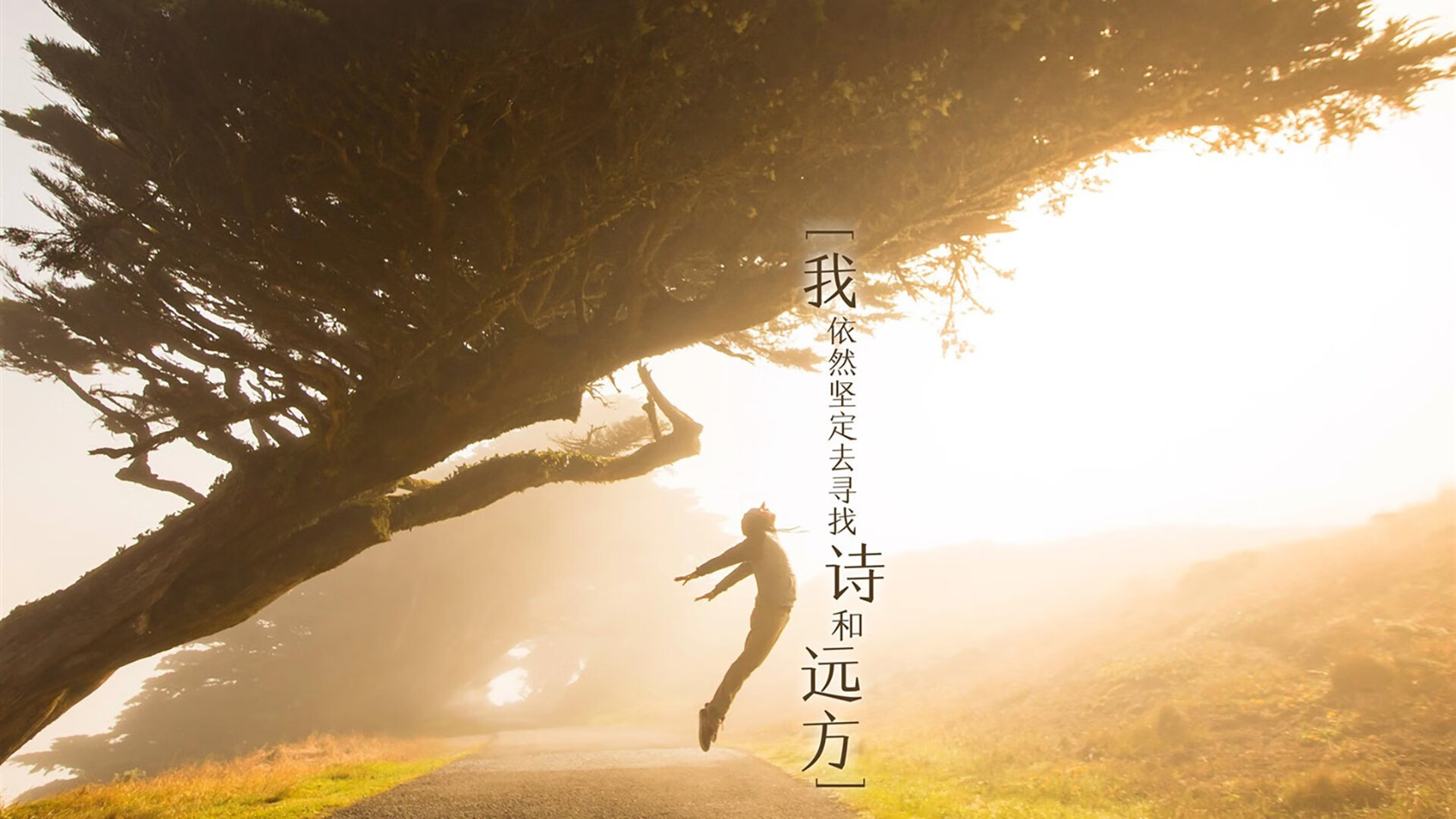 38秒改写72年，当孙兴慜的泪光照亮亚洲足球漫漫长夜