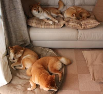 死亡缠绕，当福克斯改写了雷霆与爵士的剧本