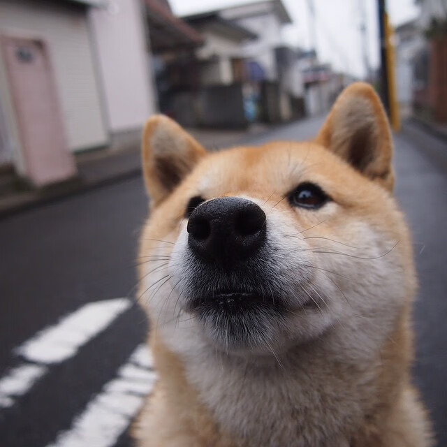 东方巨龙VS费城之光，文班亚马用一记世纪封盖完成终极正名