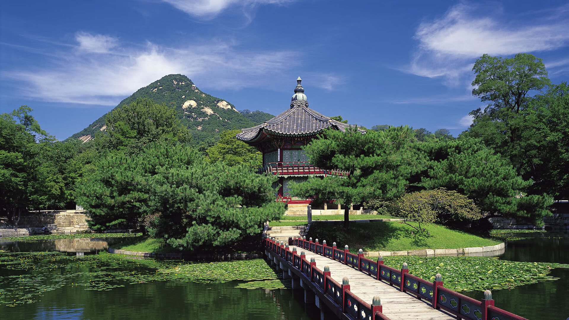 时空共振,在足球的加时绝杀与篮球的终极接管之间,荣耀在同一天被两种方式定义