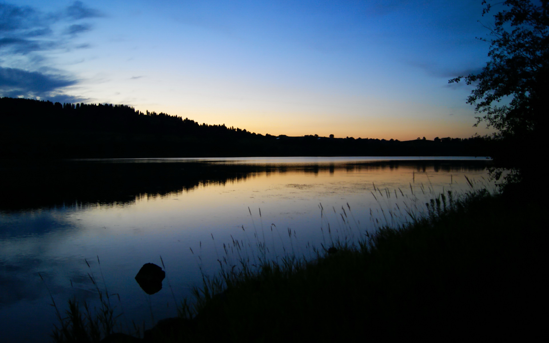 平行宇宙的篮球对决，库里跨维打爆广厦防线