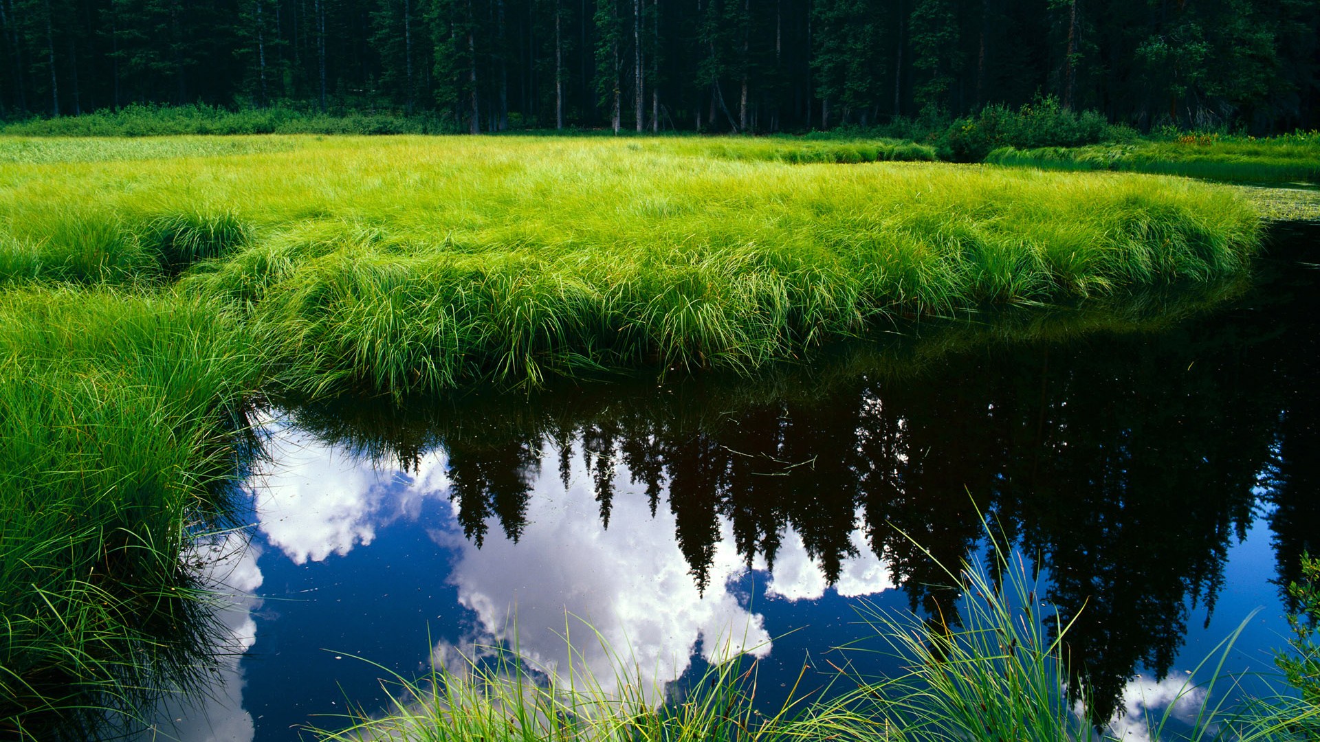 选项（任选其一）