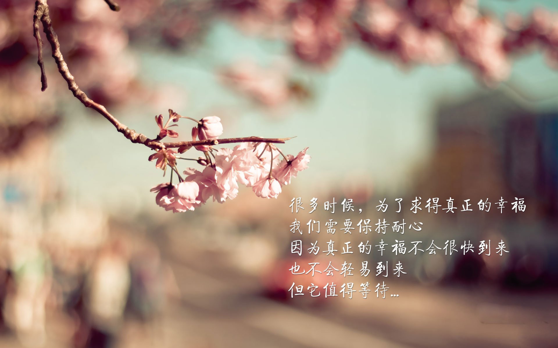 双线高能,当英超的惊心一夜遇上塔图姆的冠军基因