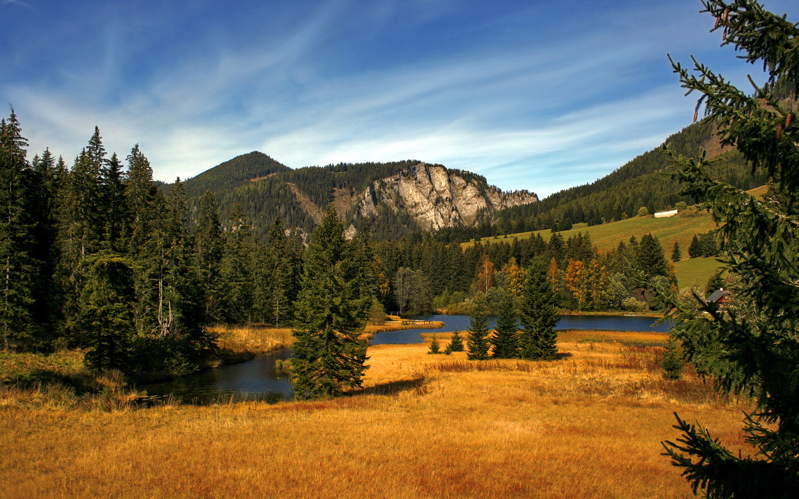 绿茵双城记,英超决战夜与毕尔巴鄂的伊拉克终结者