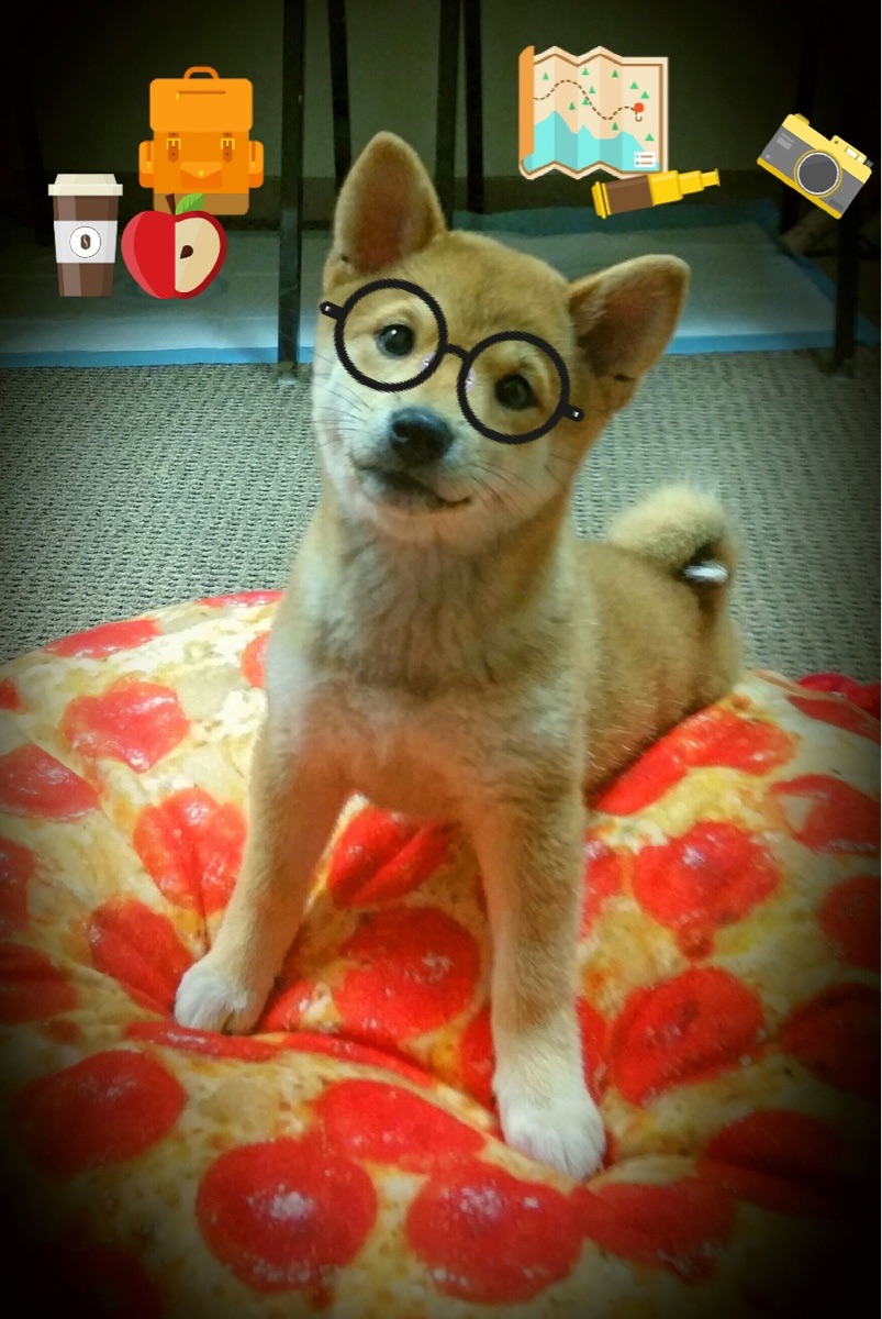 关键先生阿尔瓦雷斯一锤定音!土耳其黑马强势晋级,切尔西欧冠梦碎