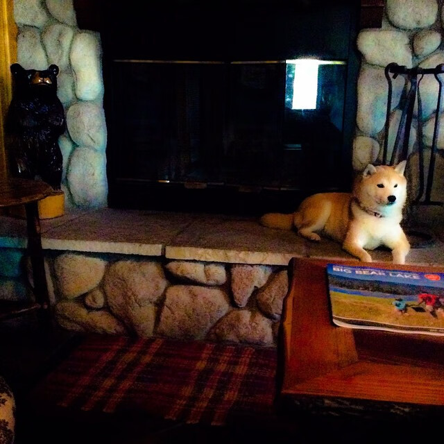 赛场上的双城记,从德甲争冠到NBA的奇才时刻