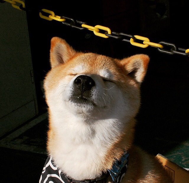 地中海月光与贝蒂斯绿,苏亚雷斯在黄昏时刻接管战争