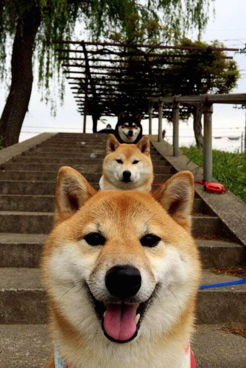 库里节奏完全掌控,热火如何凭借时间魔法拿下76人