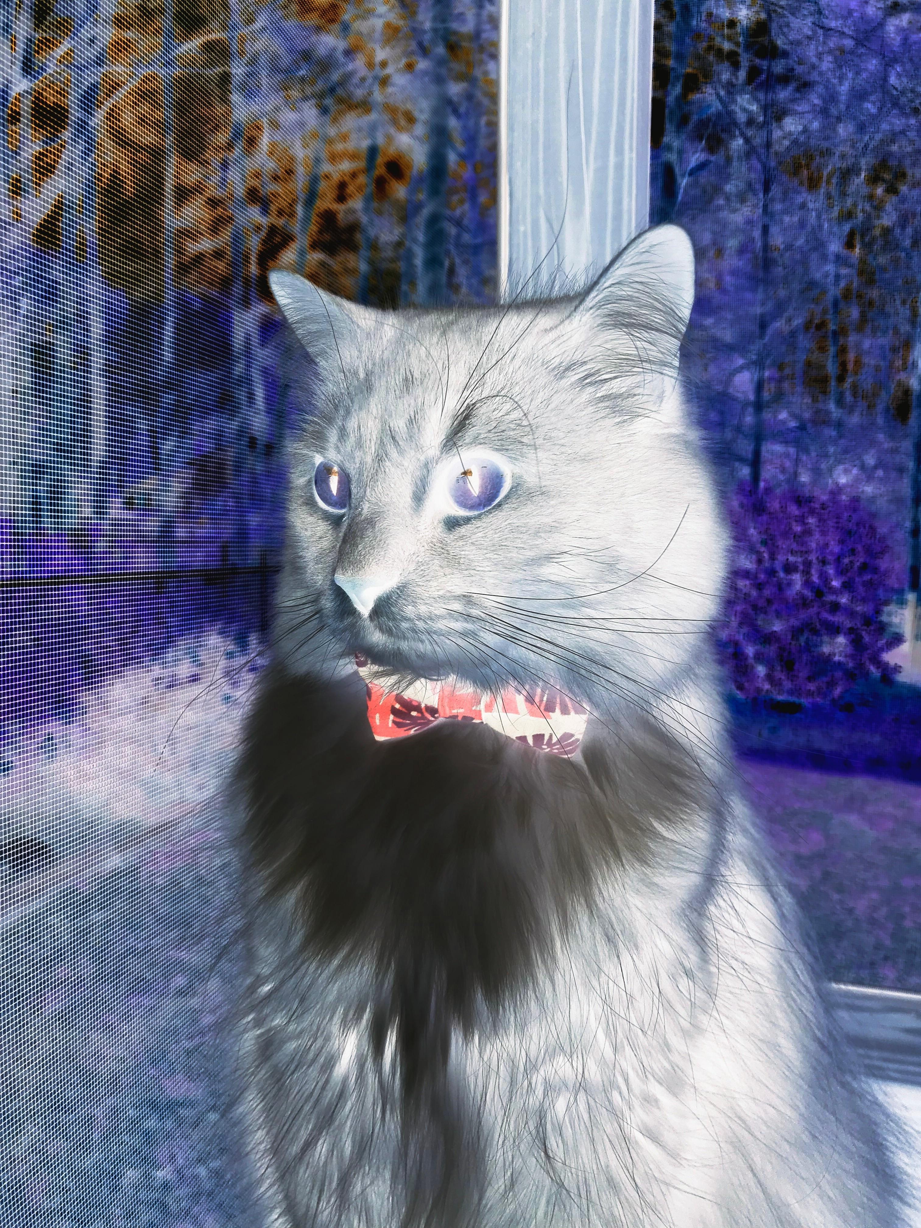 布克的艺术签名，当季后赛之夜遇上独一诗篇