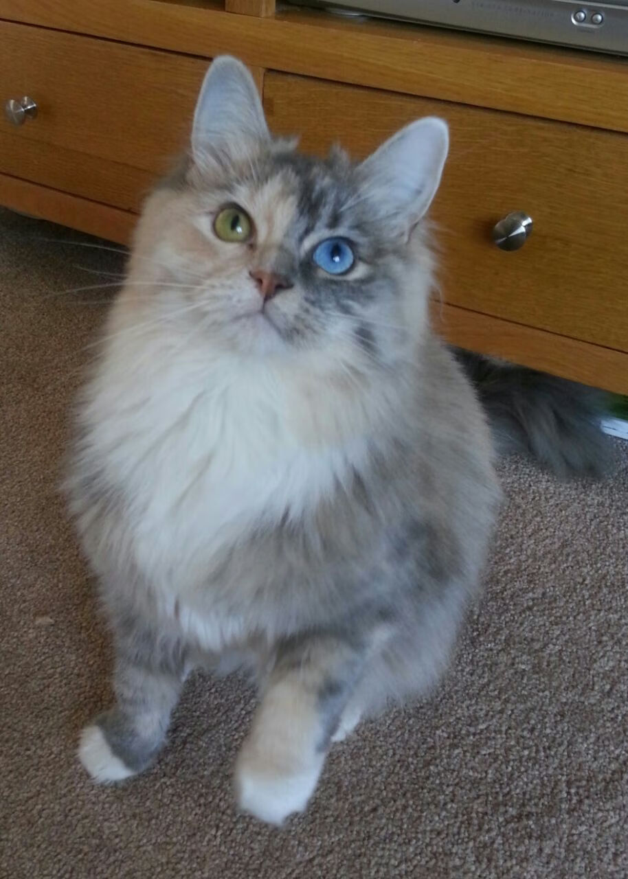 东方利刃破坚盾,三笘薰持续制造杀伤,曼城力克毕尔巴鄂