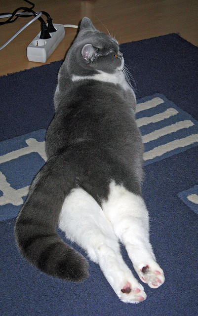 巫师与先知的对决，锡安如何破解布鲁克林的未来预言