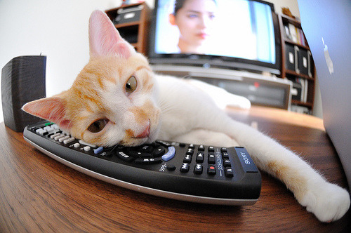 救赎之夜,阿劳霍的抢七封神时刻