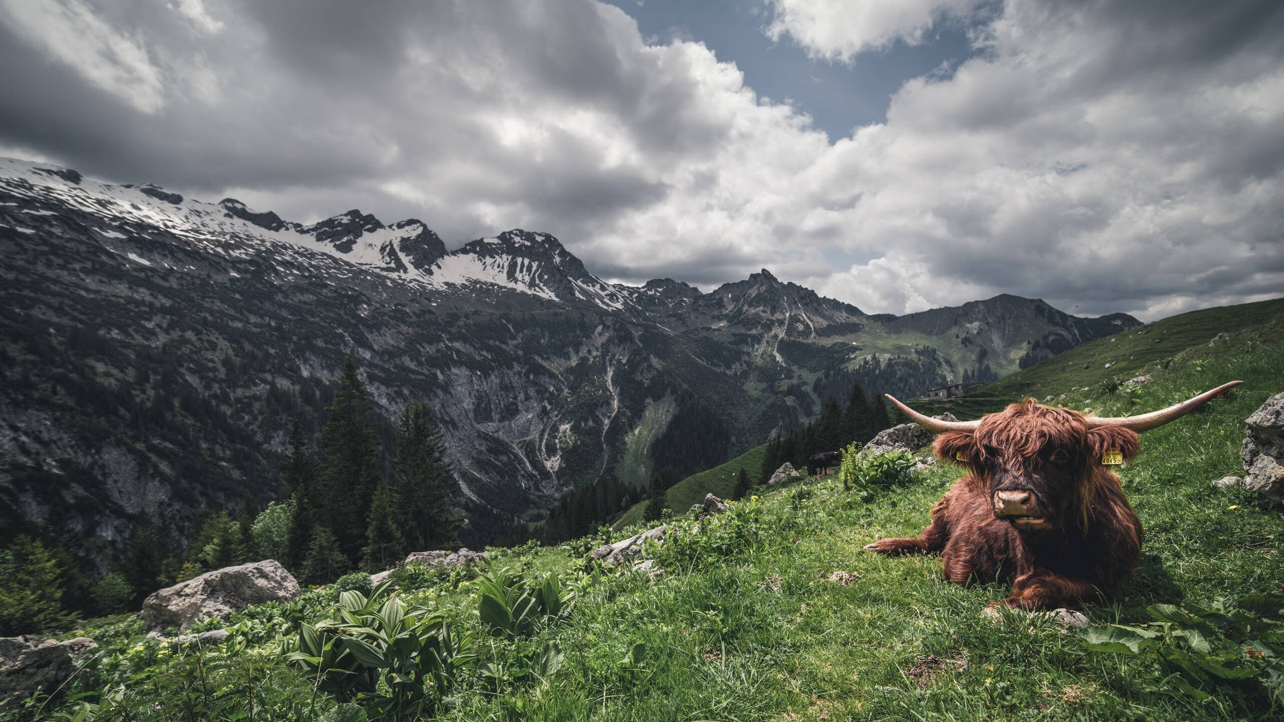 2026世界杯之夜,本泽马刷新纪录,独步绿茵场的唯一传奇