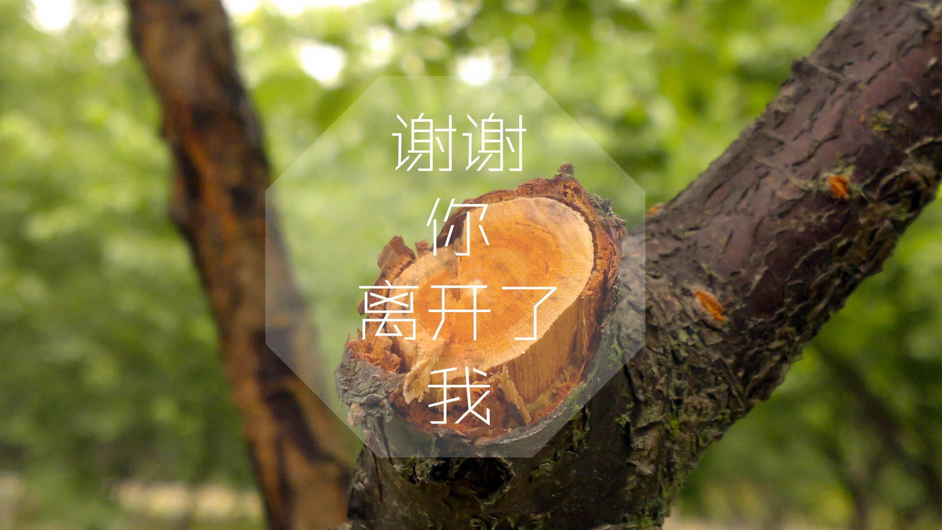 这是一个非常精彩的足球赛事设定。为了体现唯一性,我们可以避开常规的赛后战报写法,而是聚焦于一场比赛如何定义了两种截然不同的足球哲学与命运轨迹